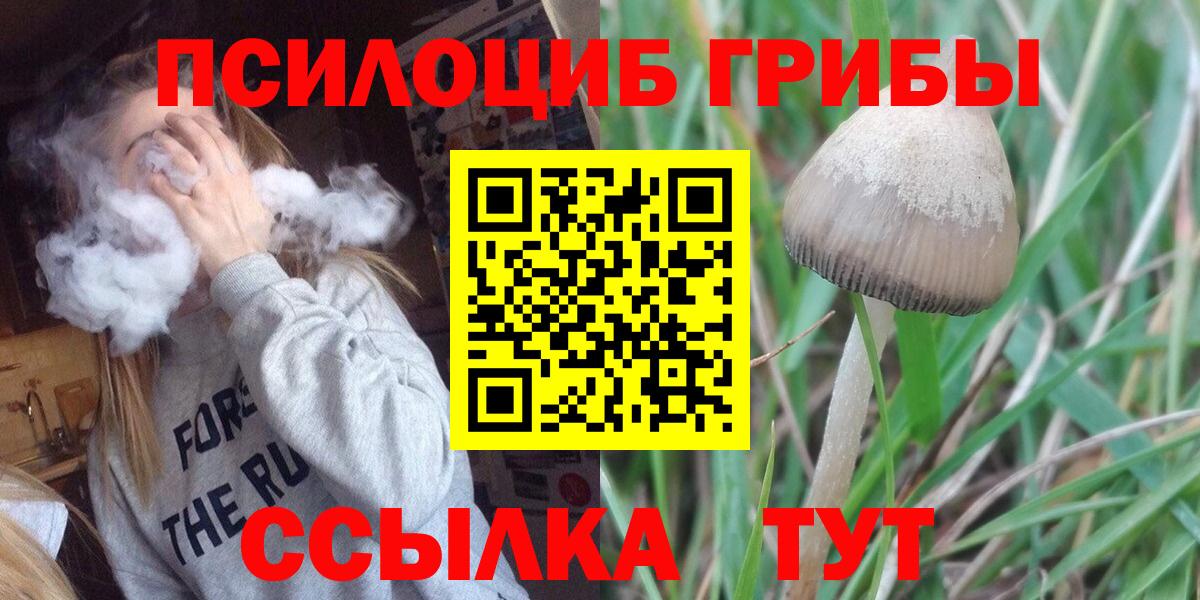Псилоцибиновые грибы Psilocybine cubensis  где найти   Радужный  Вход с VPN  Галлюциногенные грибы MAGIC MUSHROOMS 