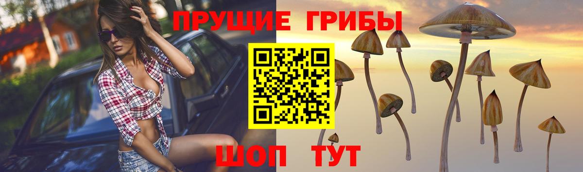 Псилоцибиновые грибы прущие грибы Радужный